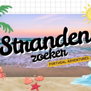 Digitale strandenzoeker